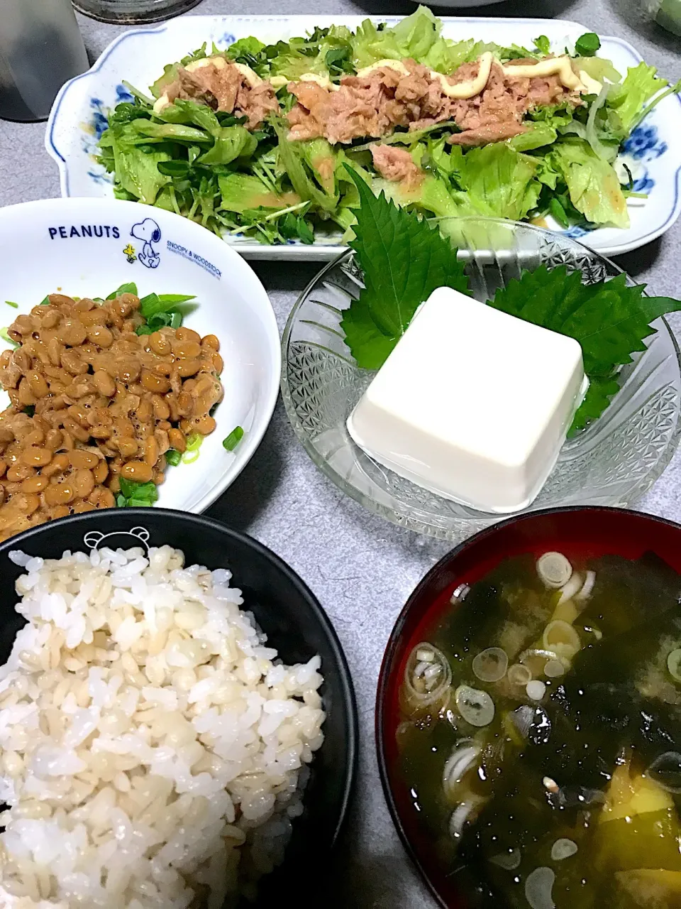 もち麦飯、じゃがワカメねぎ味噌汁、豆苗レタスツナサラダ、しそ冷奴、ネギ納豆|ms903さん