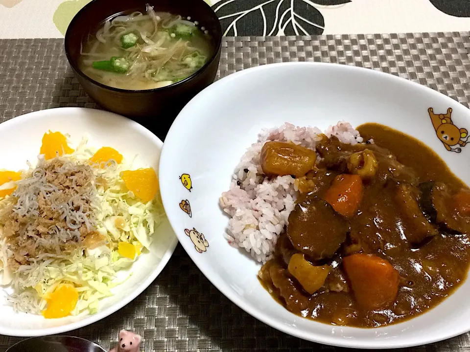 猪肉とナスのカレー|miyueさん