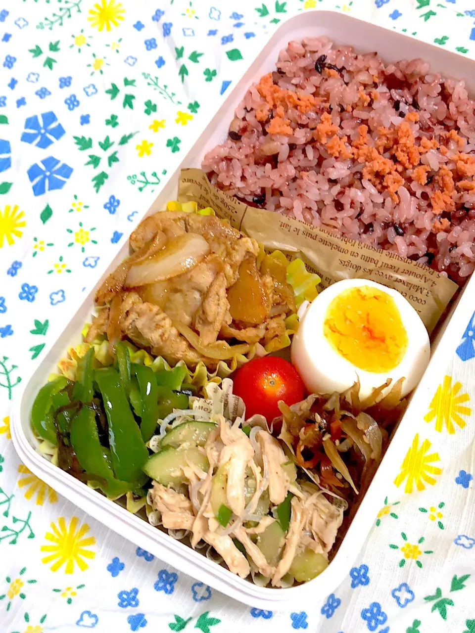 8.17☆旦那弁当
豚肉のカレー風味炒め
ゆで卵
ささみときゅうりの春雨サラダ
ピーマンの塩昆布和え
きんぴらごぼう|のん∞さん