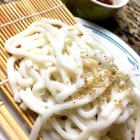 Snapdishの料理写真:Zaru udon|jan renaeさん