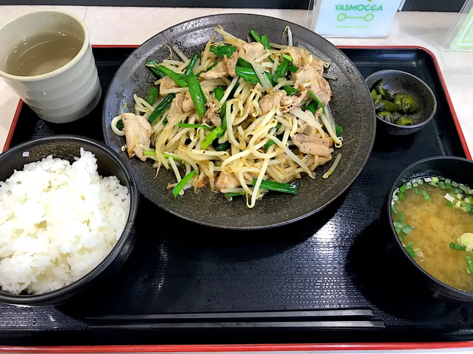 おひるごはん|しいたけ茶さん