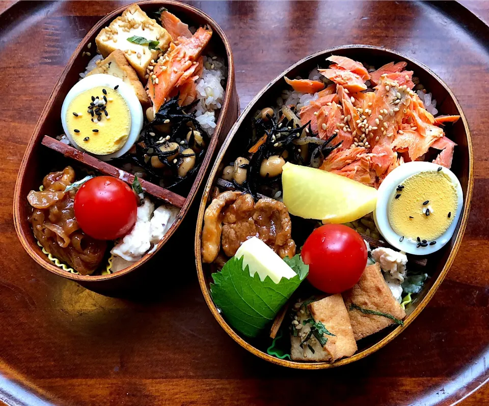 本日もお弁当🍱紅鮭、ひじきの煮物、ポークソース焼🥩生揚げの煮物🍘きゅうりと蒸し鶏サラダ🥗 #息子弁当  #わっぱ弁当  #鮭  #生揚げ  #ひじきの煮物  #ポークソテー  #プチトマト🍅  #ゆで卵 #札幌 #中島公園|Yukie  Toriseさん