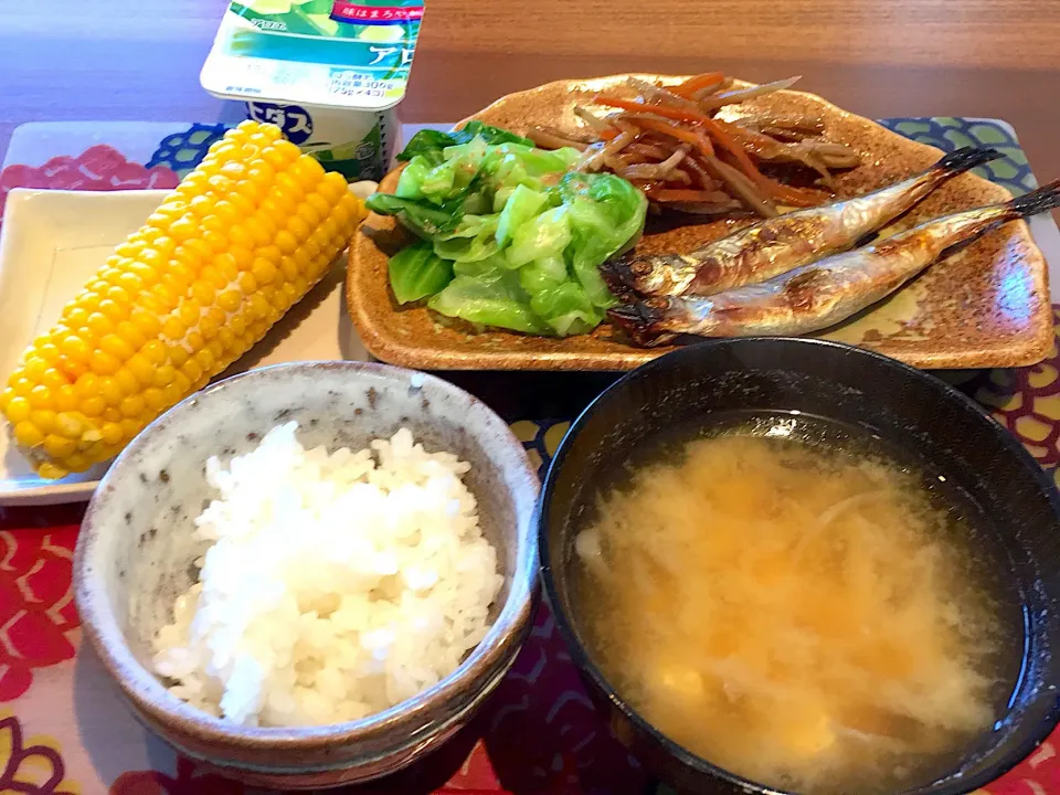 朝ごはん
ししゃも、茹でキャベツ、きんぴらごぼう、白米、玉ねぎと豆腐の味噌汁、蒸しトウモロコシ、アロエヨーグルト、焼き海苔|かよちゃんさん