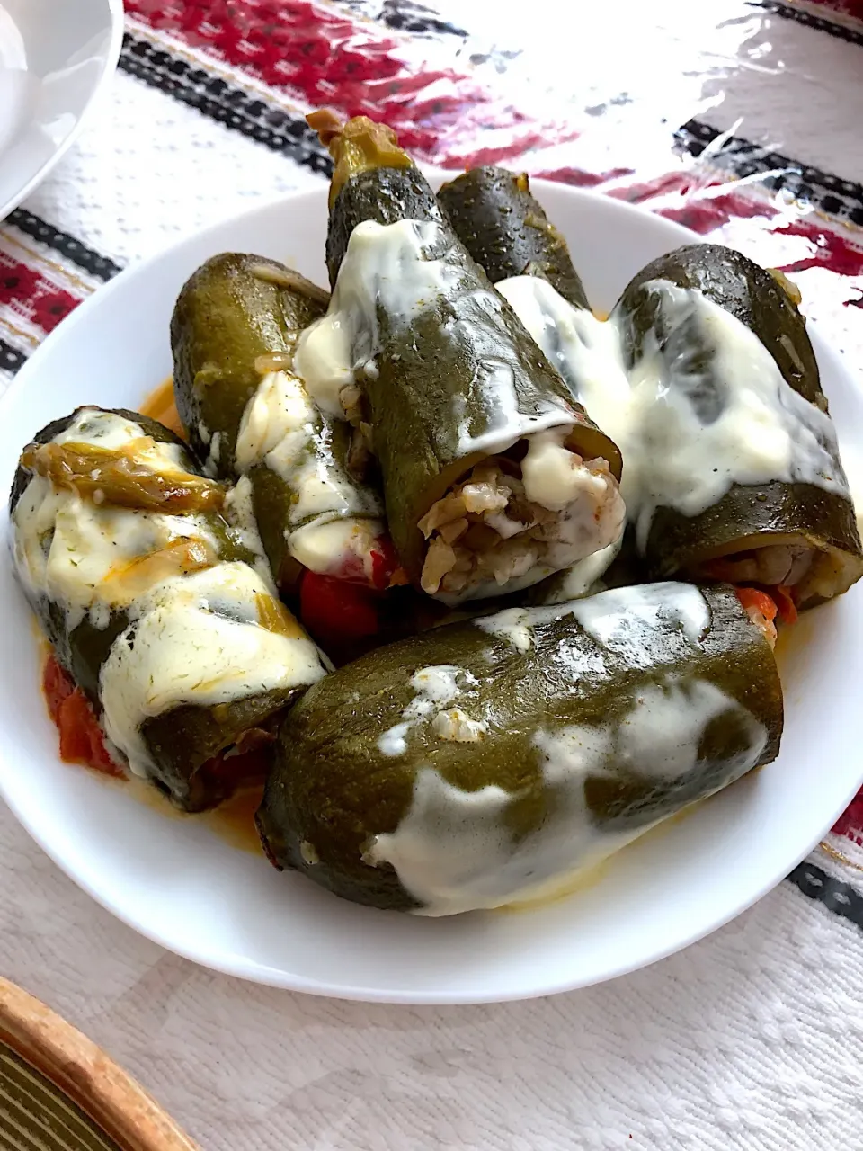 Stuffed Zucchini🇷🇴|aястасияさん