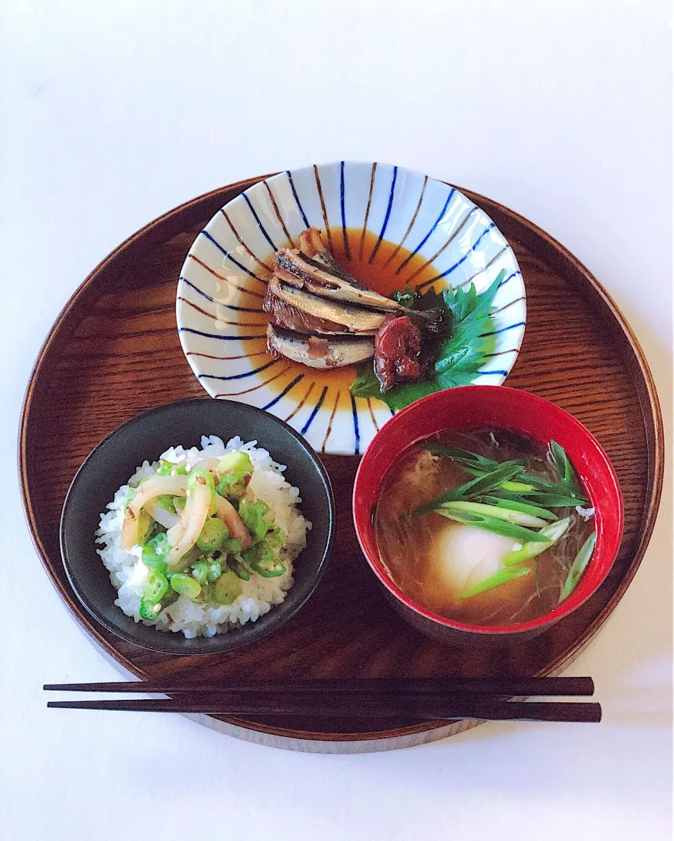 鰯の梅煮
イカおくらのっけご飯|ともみ。さん