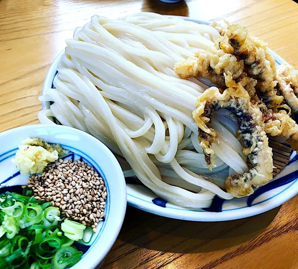 いか天ざるうどん大盛🦑🌋、蛸飯セット🐙🍚|buhizouさん