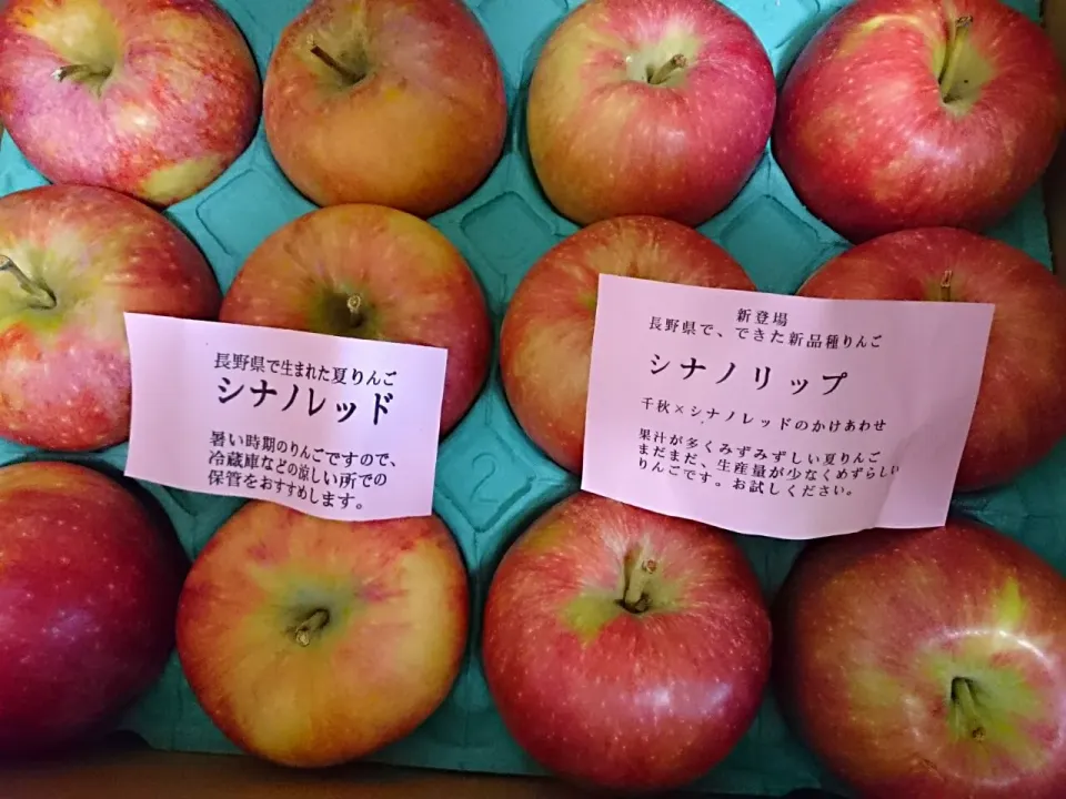 ☆姉から贈り物☆   ナカムラフルーツ園   🍎シナノリップ   シナノレッド🍎|hamamaさん