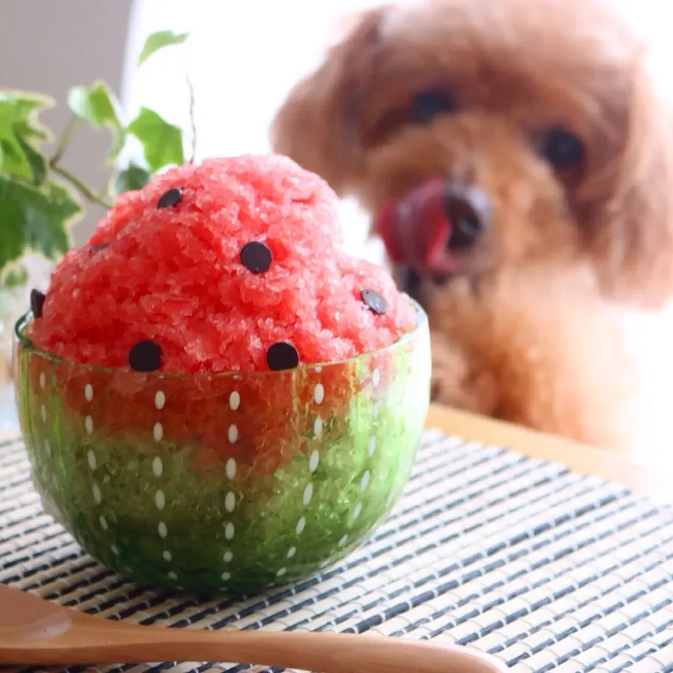 Snapdishの料理写真:スイカのかき氷|tomoさん