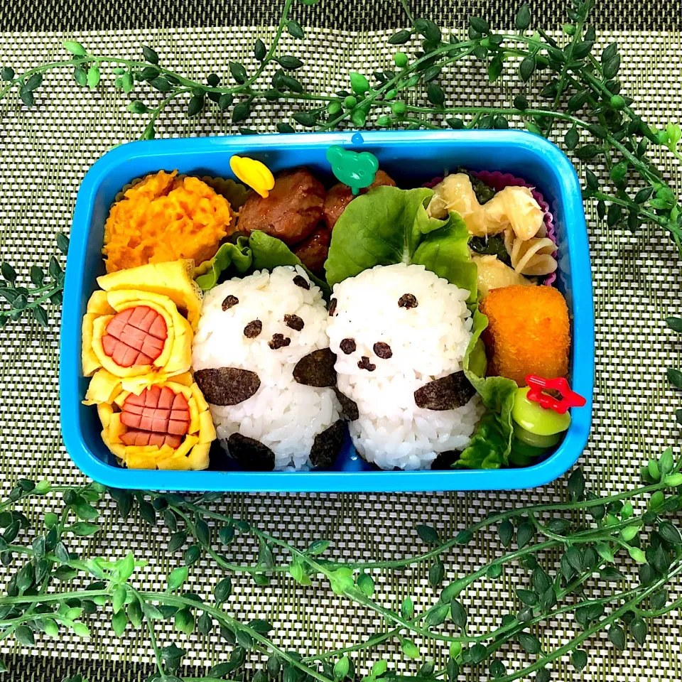 パンダ🐼弁当|あきとんとんさん