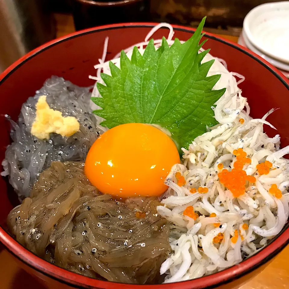 三色しらす丼|ともこさん