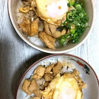 Snapdishの料理写真:親子丼|hanaさん