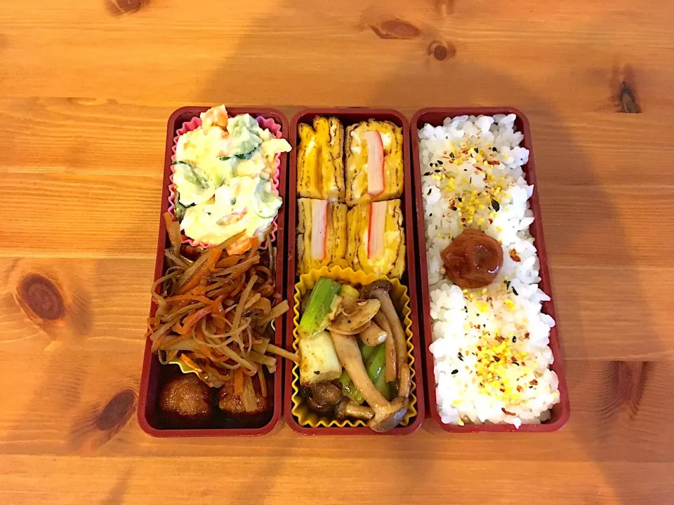 Snapdishの料理写真:ポテサラきんぴらゴボウ弁当|Emi Mikadoさん