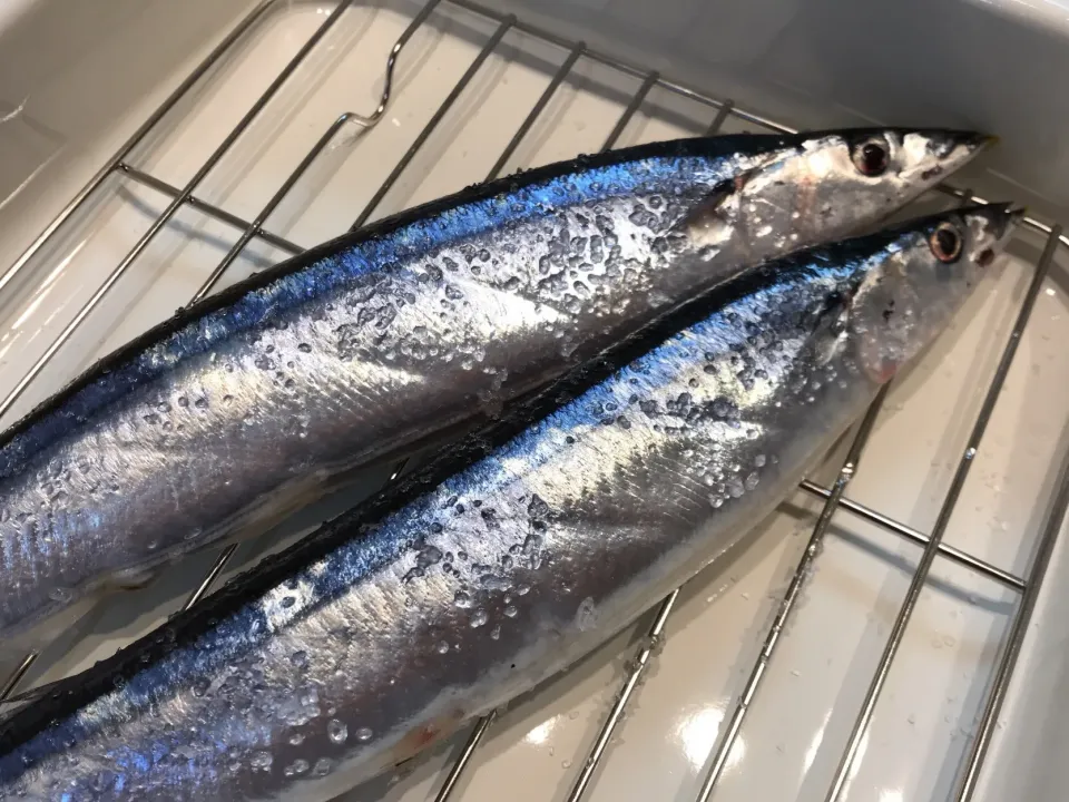 秋刀魚の塩焼き〜下ごしらえ編🐟|ちまさん