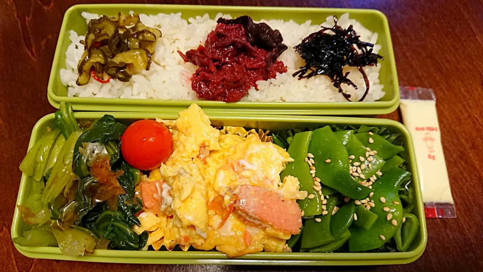 サーモンオムレツ弁当
 #昨日のお弁当 (笑)|りょーさん