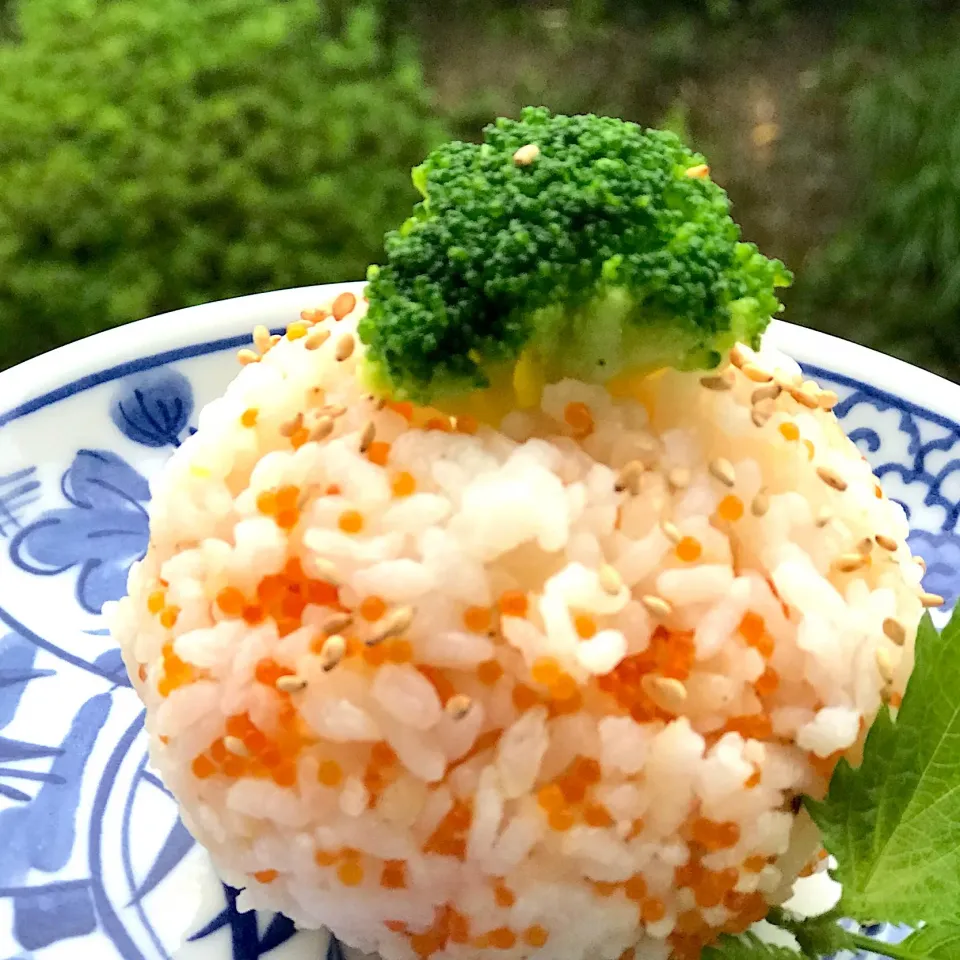 まあるい 地球 おにぎり|シュトママさん