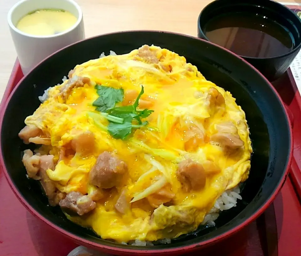 Snapdishの料理写真:８月１０日　親子丼|いもこ。さん