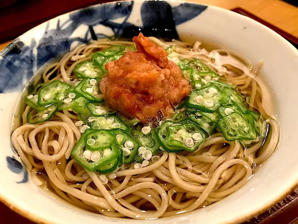 けふの昼餉は、先日美味しくいただけた梅おろし蕎麦アゲイン😊大盛りにしたけど器は同じサイズだから、蕎麦が出汁からはみだしてますわ💦|にゃあ（芸名）さん