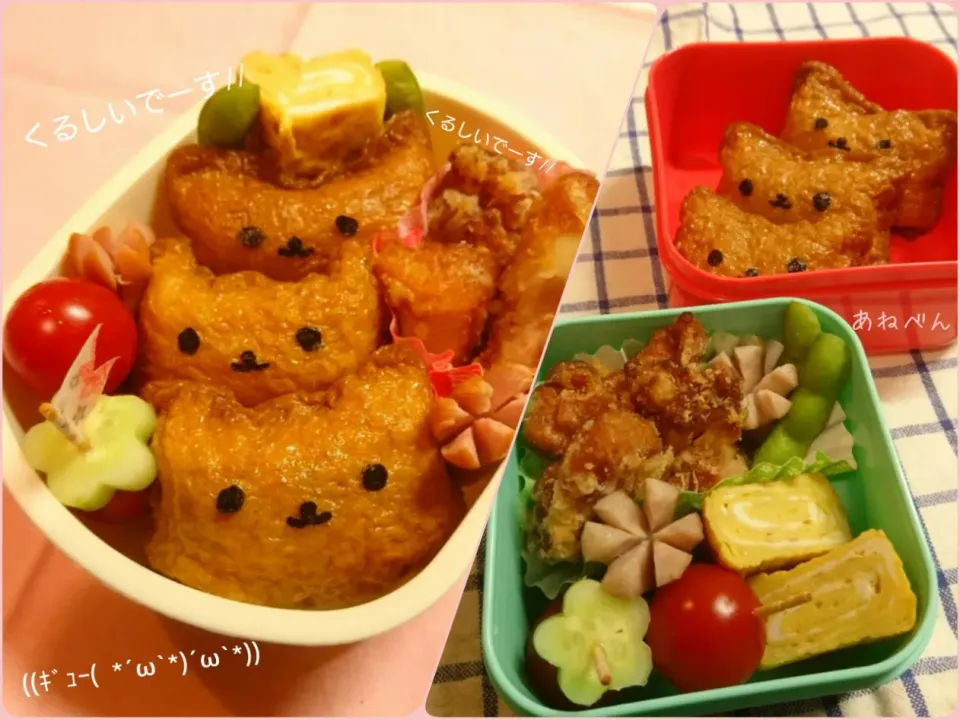 猫いなり弁当|うさかめさん