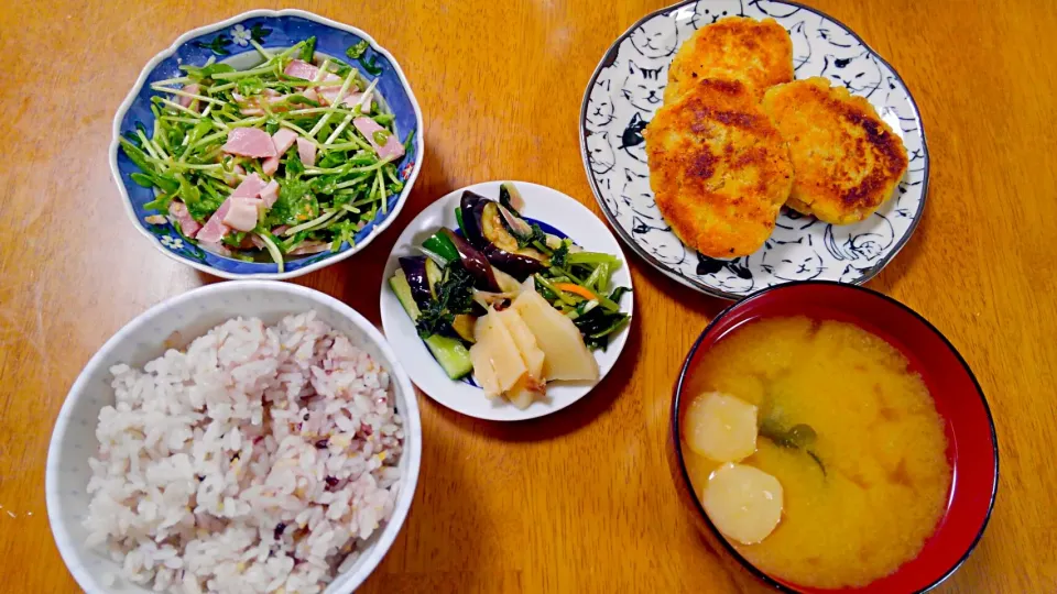 ８月１６日　おからナゲット　豆苗とハムのサラダ　しば漬け　筍のお漬け物　お味噌汁|いもこ。さん