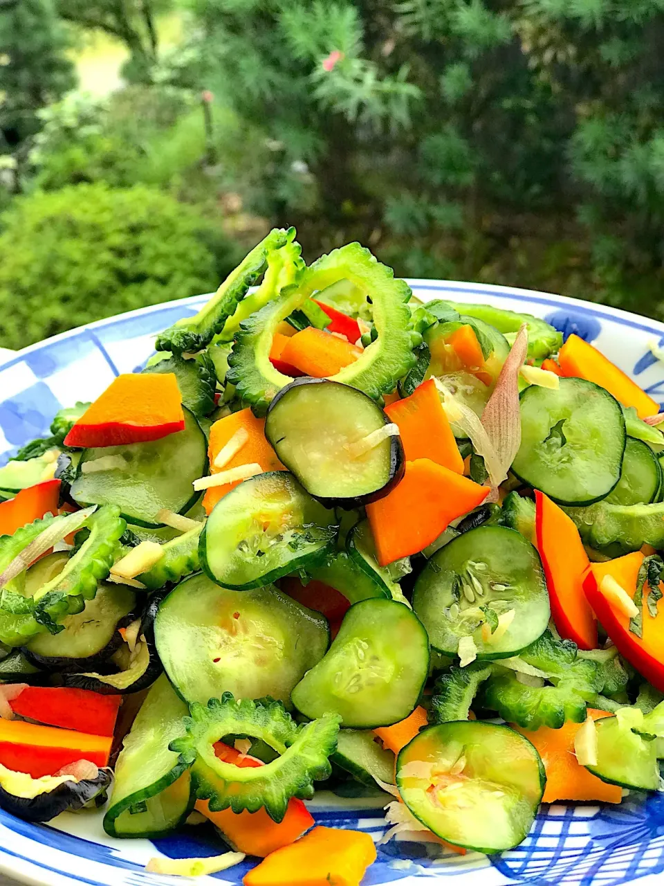 夏野菜の塩揉みサラダ🥗赤いのはコリンキー|シュトママさん