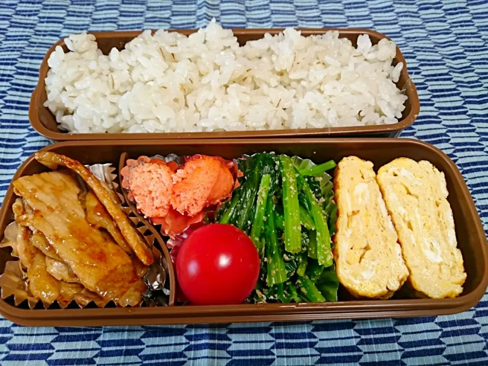 ☆今日のお弁当☆　パパのお弁当作り始めました。|hamamaさん
