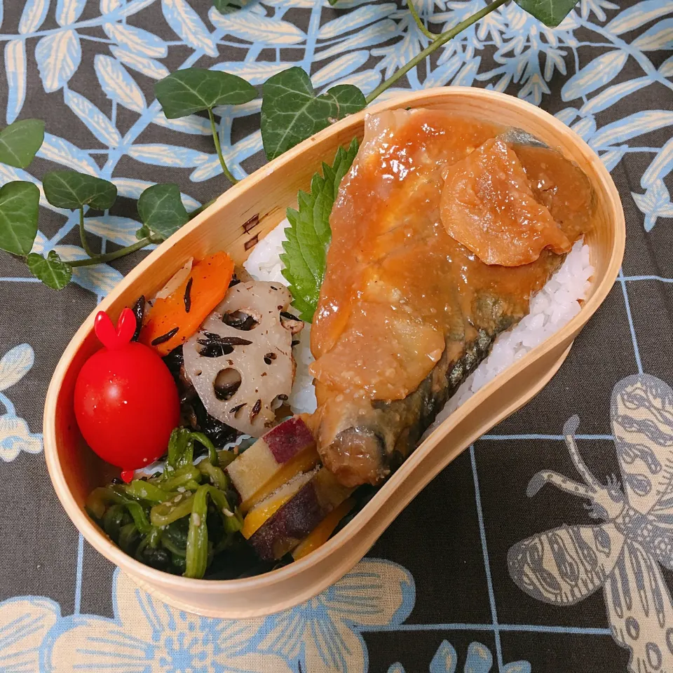 2018.9.4 today's obento 鯖の味噌煮弁当|YummyKさん