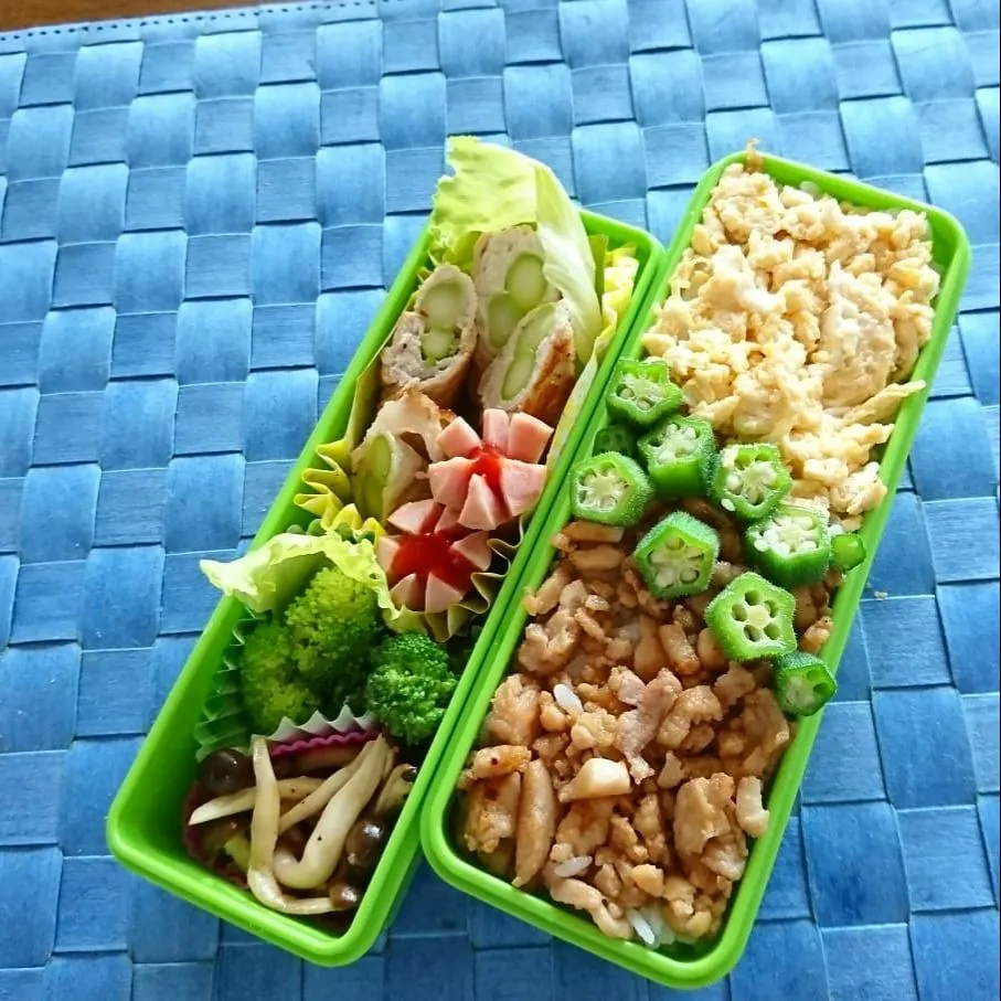 9/5そぼろご飯なお弁当|Reikoさん