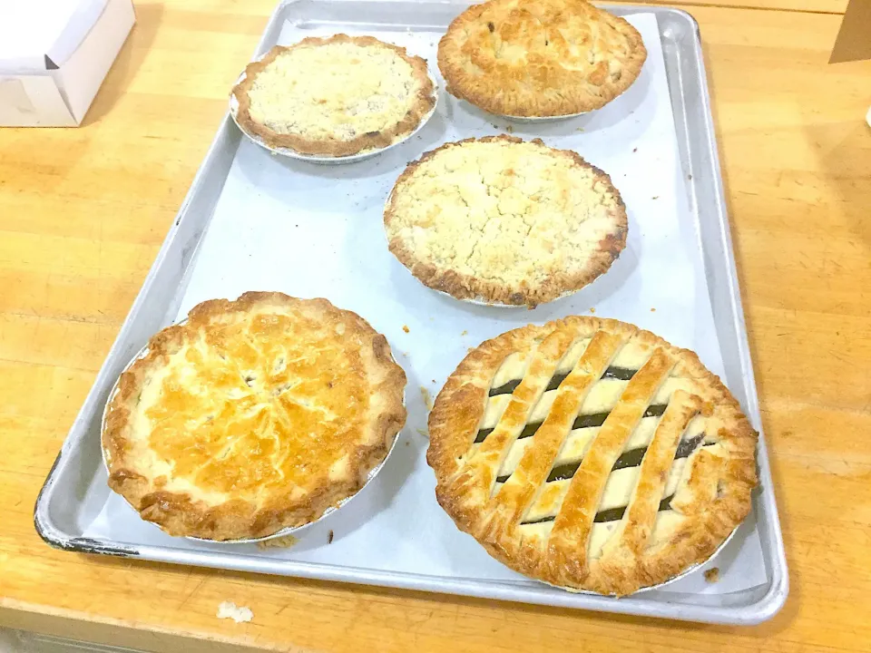 Pies|John Baker Greskiewiczさん