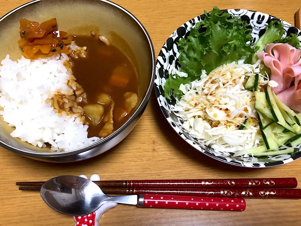 9.5 dinner
❤︎ ポークカレー
❤︎ サラダ|Kana ❤︎さん