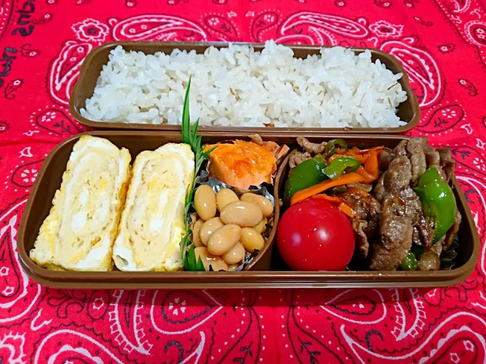 ☆今日のお弁当☆　パパのお弁当作り始めました。|hamamaさん