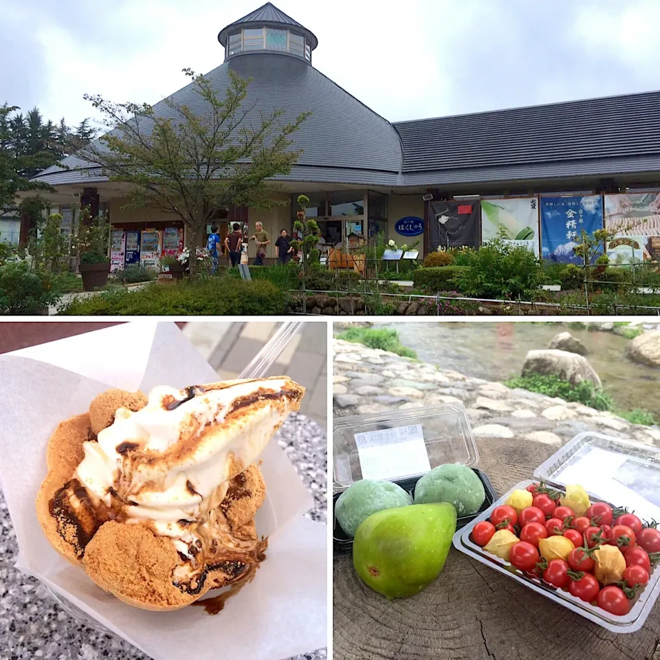 甲信の旅①🐶  朝から信玄餅ソフト🍦、昼前よもぎまんじゅうにフルーツトマト🍅 皮ごと無花果も🍐😊
#釈迦堂PA
#道の駅はくしゅう|ぱぴこ家さん