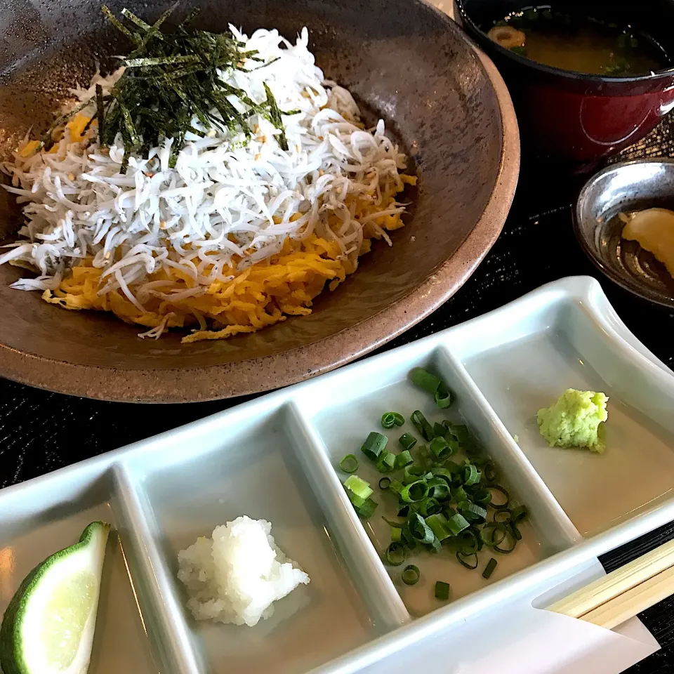 しらす丼|友さん