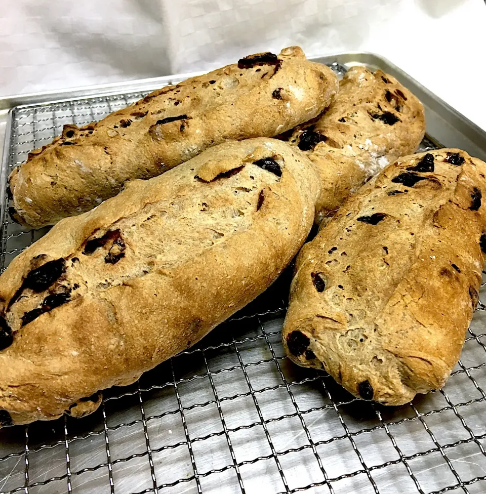 Snapdishの料理写真:Cranberry & Blueberry Sourdough Mini Ciabatta Bread|gonbenさん