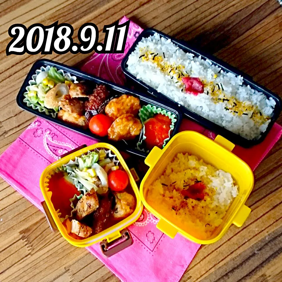 息子弁当・おっと弁当|ふ〜たん**さん