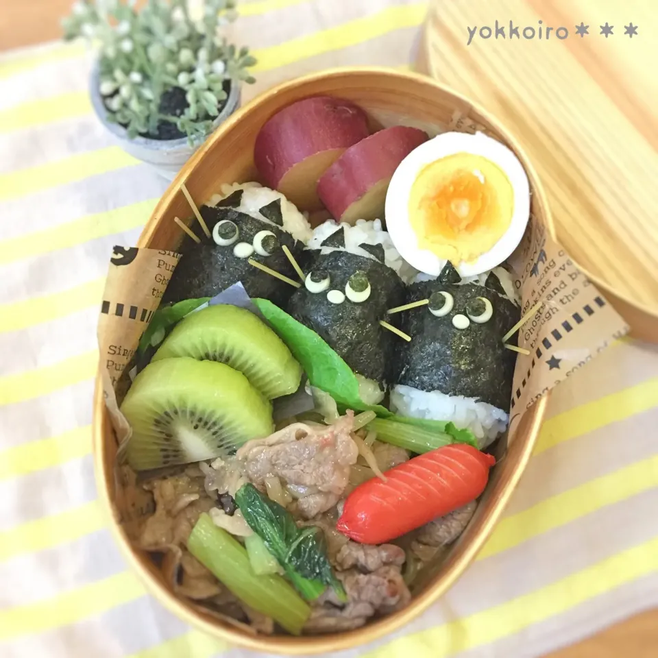 黒猫おにぎり弁当♩|yokkoiroさん