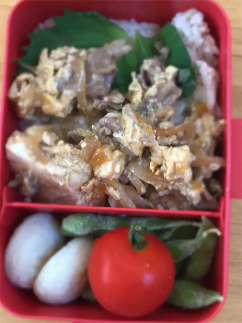 今日のお弁当 #🍱  #lunchbox  #お弁当  #中学生弁当|かれんさん