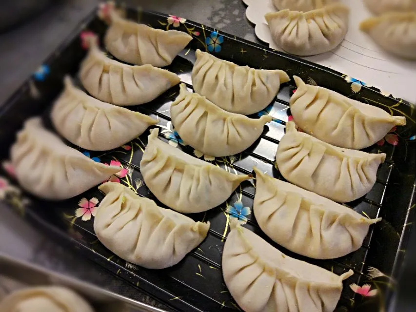 Thermomix Gyoza|Ee Shanさん