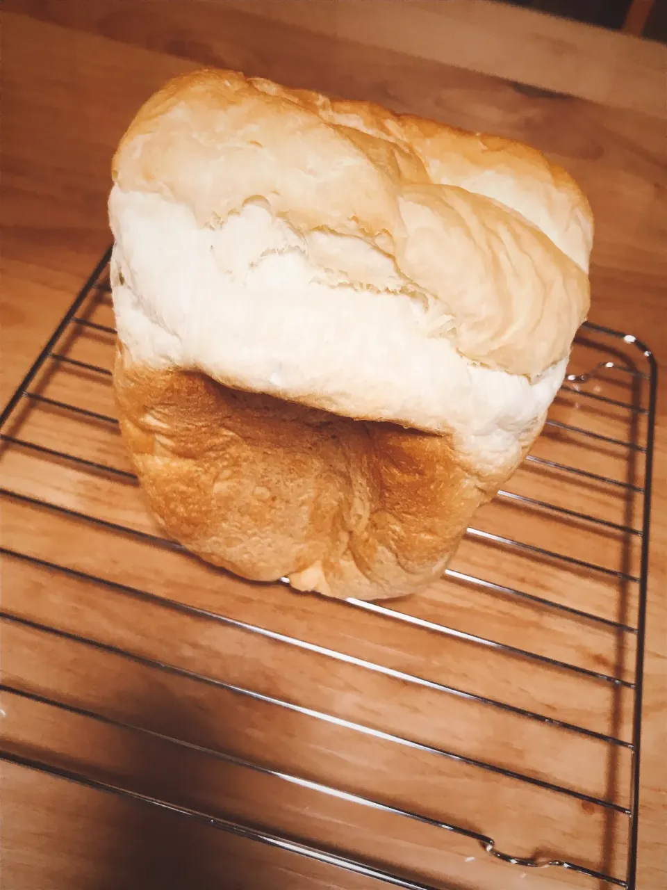 食パンソフト🍞焼きたて🍞|ニコタンさん