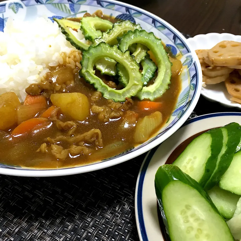 夏野菜カレー|halさん