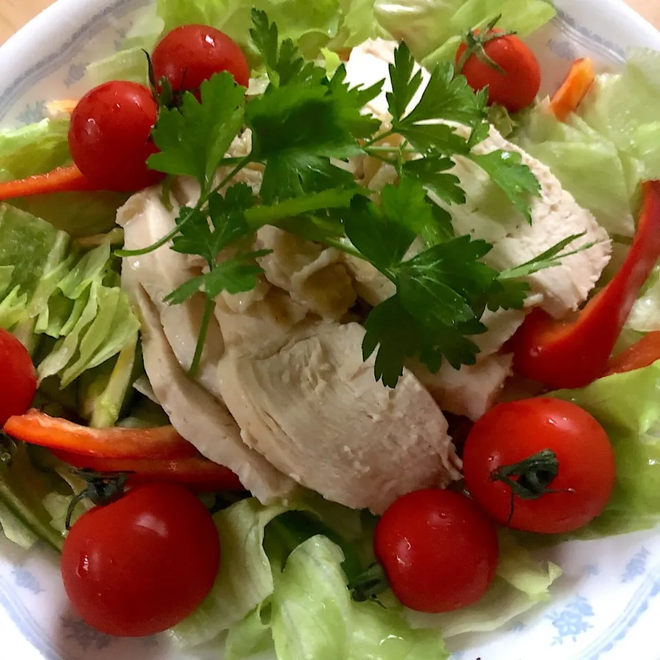 鶏むね肉のサラダ🥗|ころりんさん