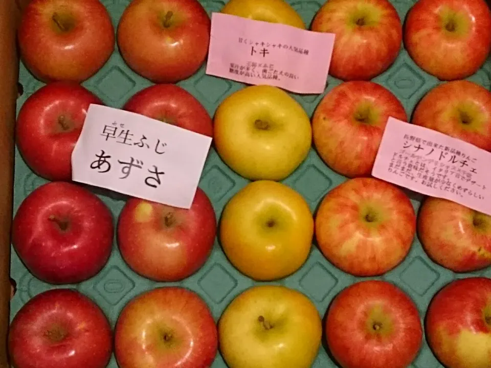 ☆姉からの贈り物☆　ナカムラフルーツ農園　
🍎　あずさ　トキ　シナノドルチェ|hamamaさん