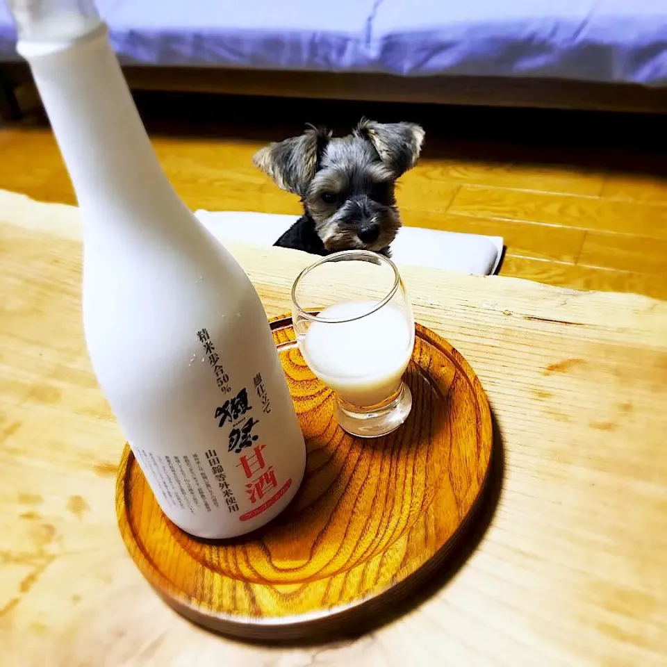 獺祭甘酒|otomoさん