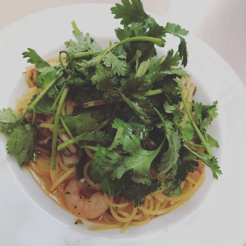 エビ🦐とキノコ🍄のパスタパクチーサラダ載せ🥗|ゴンさん