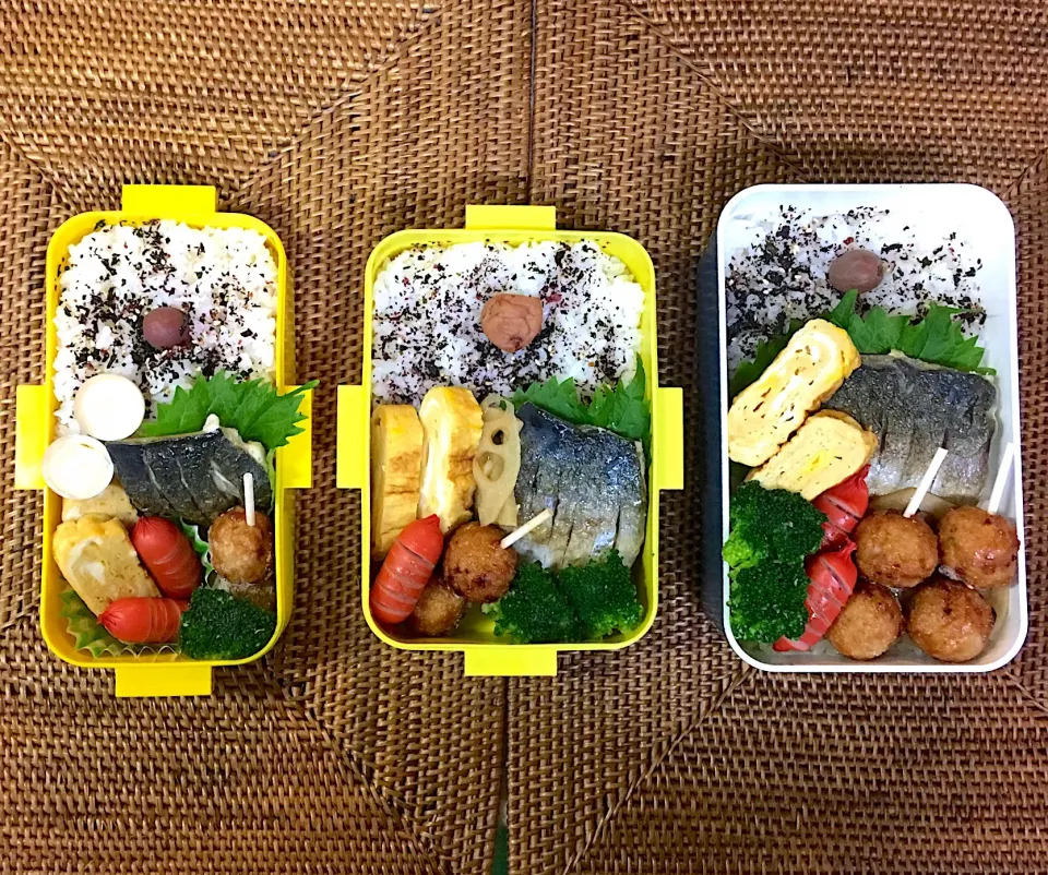 #中高生弁当 #鯖塩焼き🐟|よちこさん