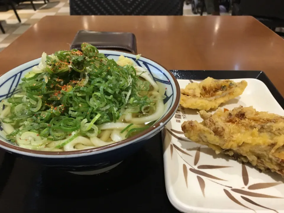 かけうどん並と天ぷら2点540円50円引きクーポン行使|PegaOさん