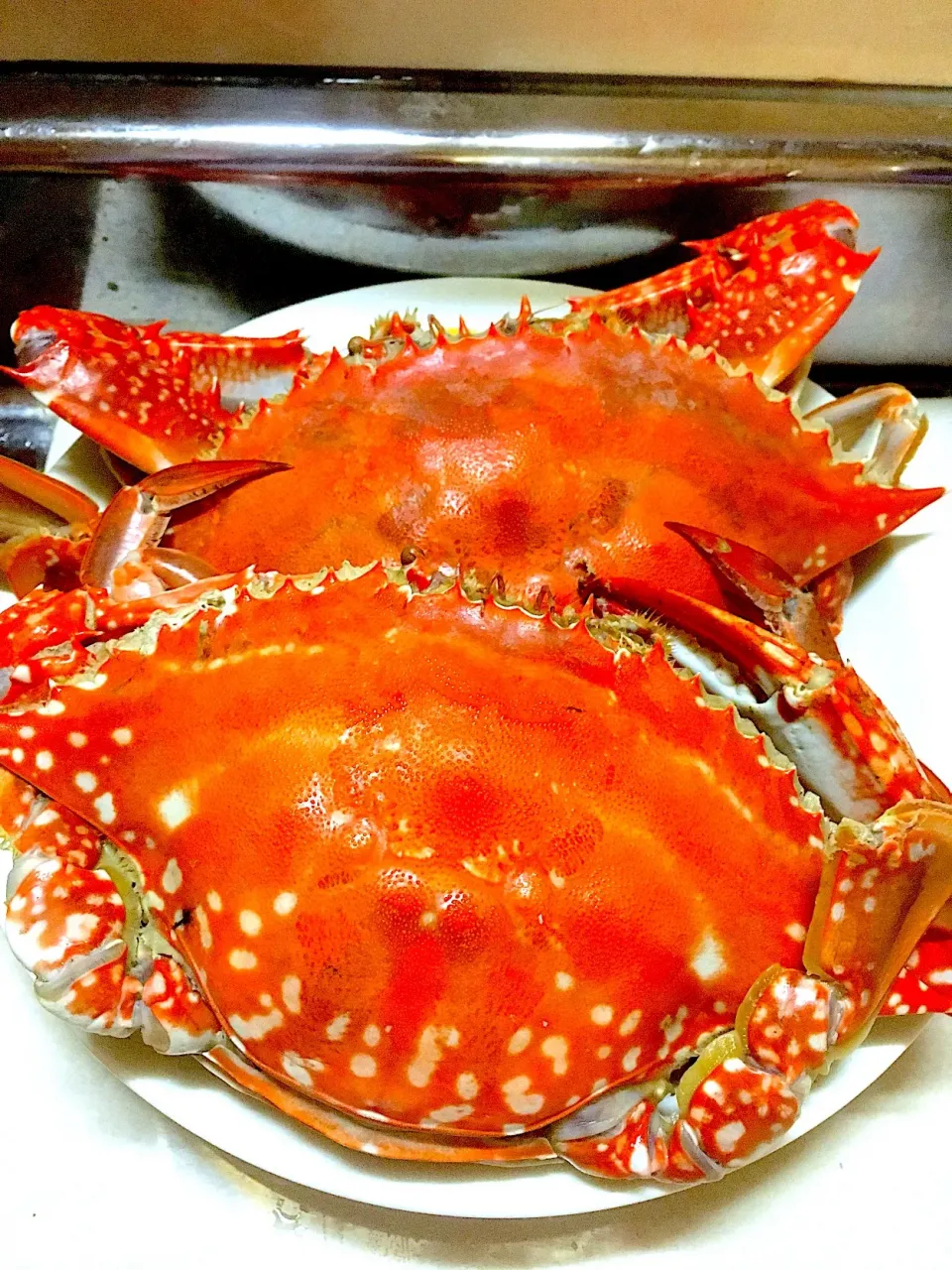 ワタリガニ茹で上がりました🦀|パオパオあつこさん