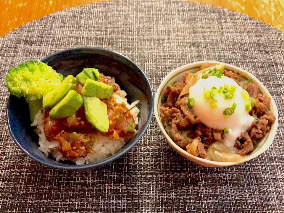 リムポキ丼&プルコギ丼|とみぃさん