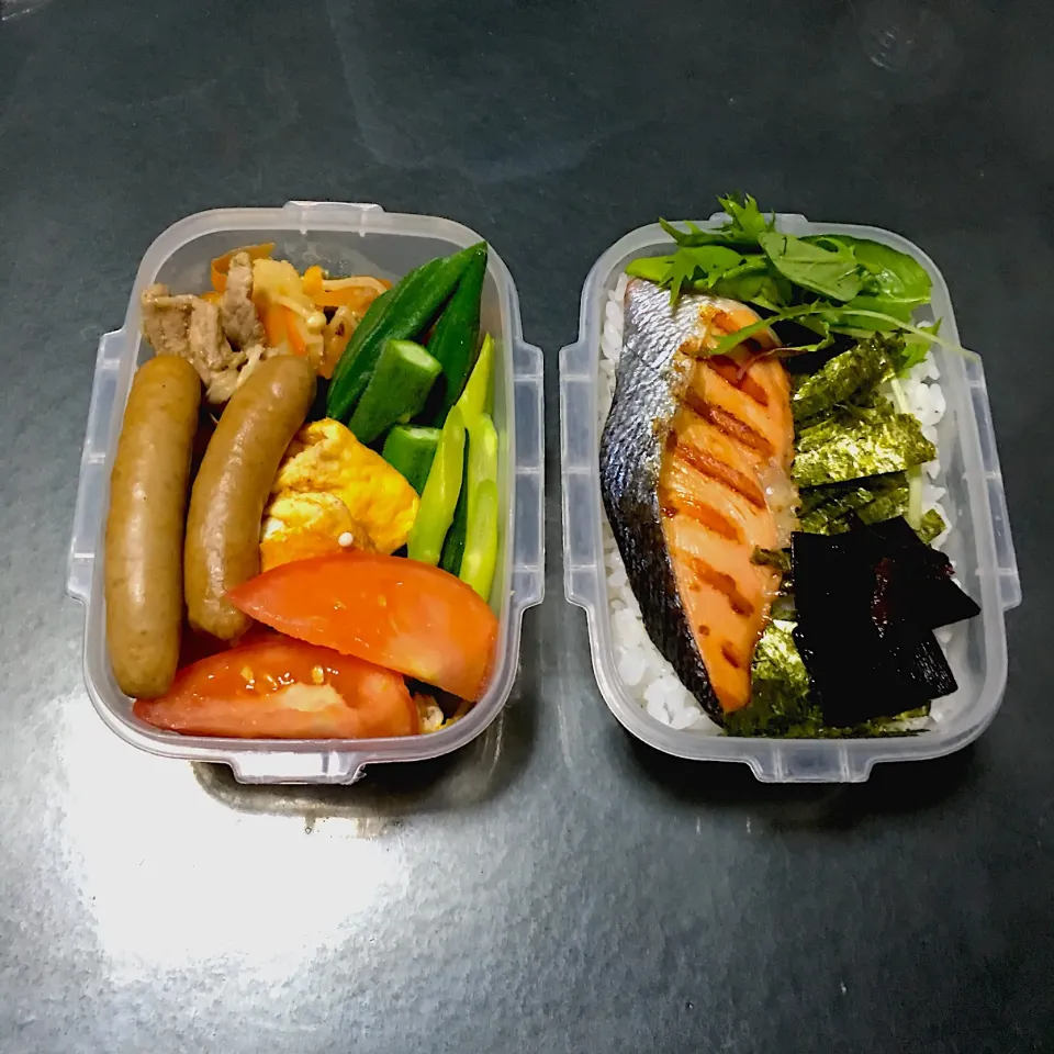 今日のお弁当‼︎ 21 September
 #お弁当  #弁当  #obento  #lunchbox  #お弁当記録  #実家のお母ちゃん  #鮭弁当  #野菜たっぷり|Yoshinobu Nakagawaさん