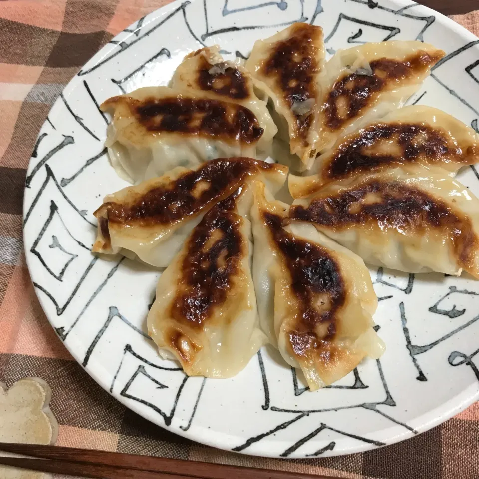 焼き餃子|あさかさん