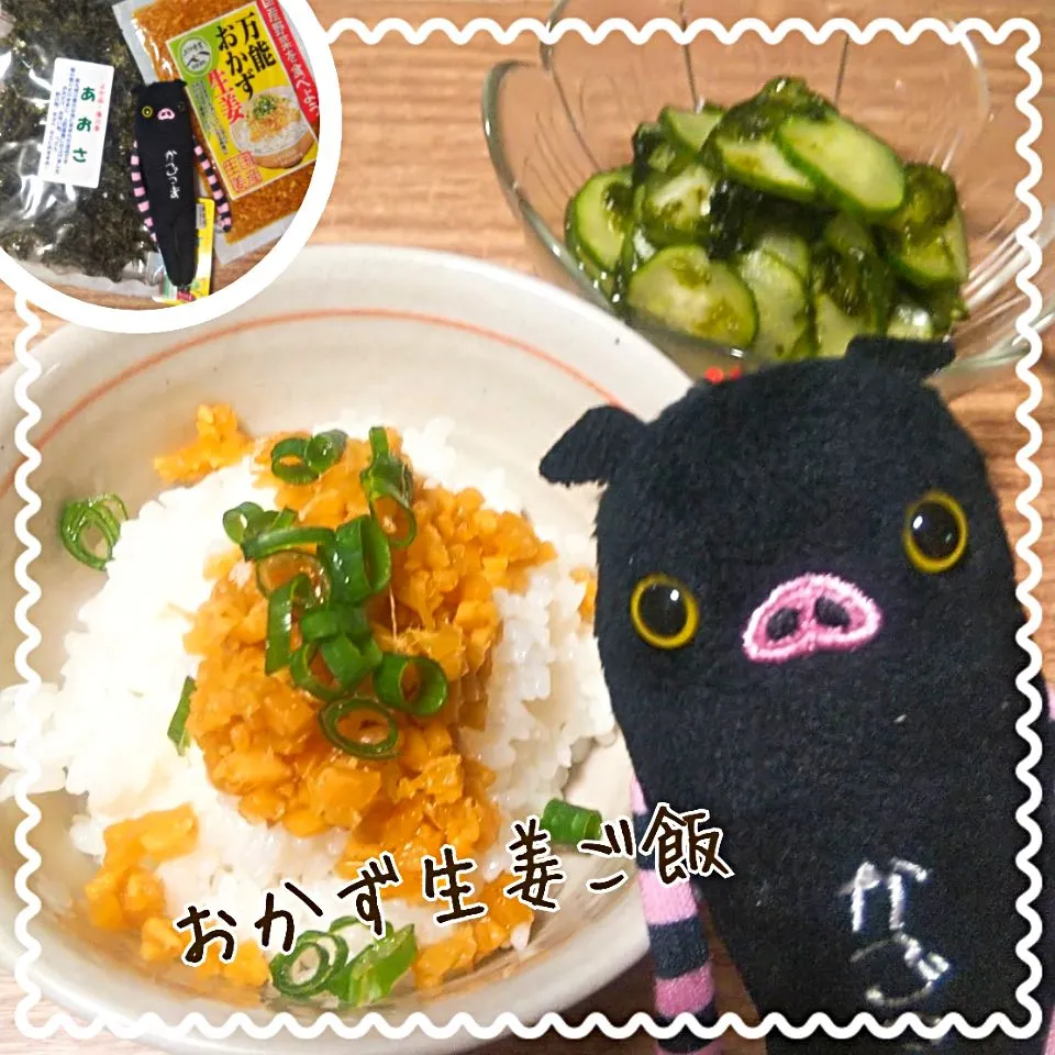 おかず生姜ご飯|めぐチー🌿さん